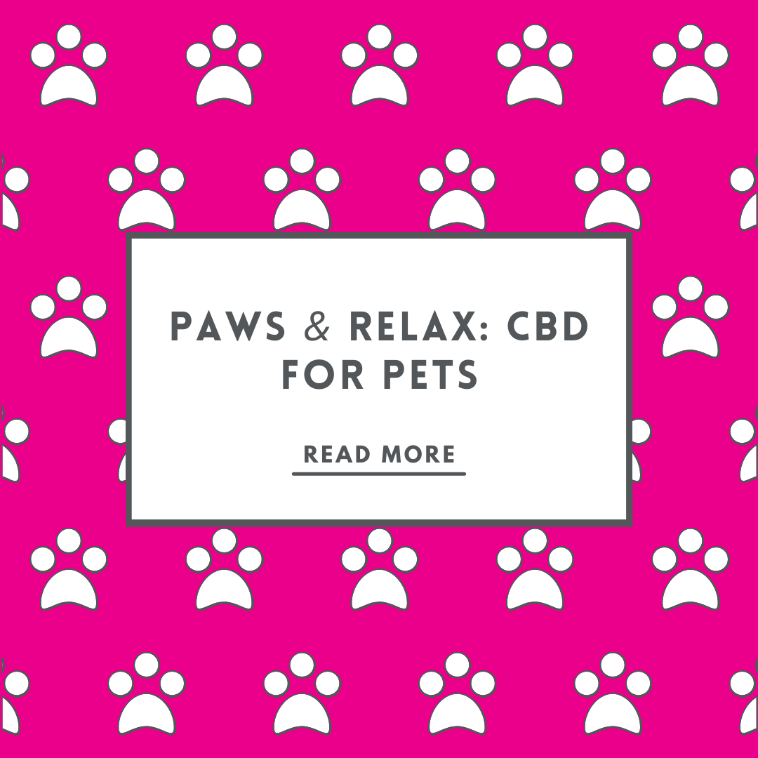 Paws & Relax: CBD for Pets