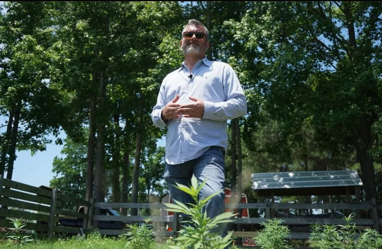 Welcome to The Pink Elephant