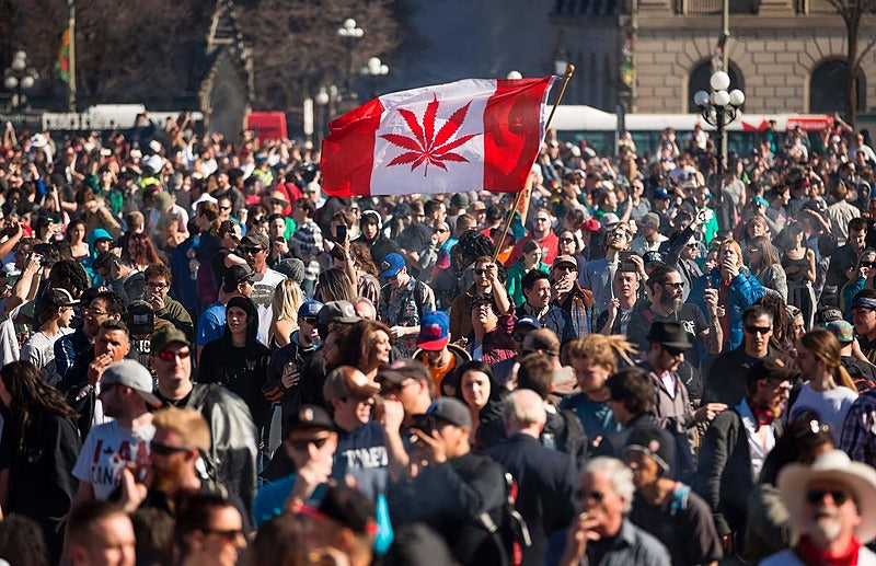 How The Cannabis Industry Has Evolved in Canada Since Legalization