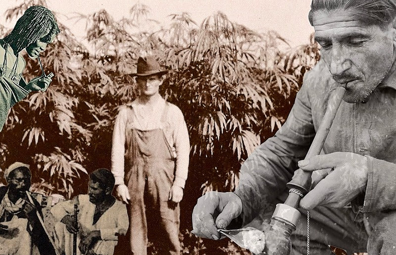 Hemp History Education